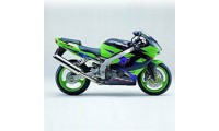 Beste 2002-2003 Kawasaki ZX9R Verkleidungen
